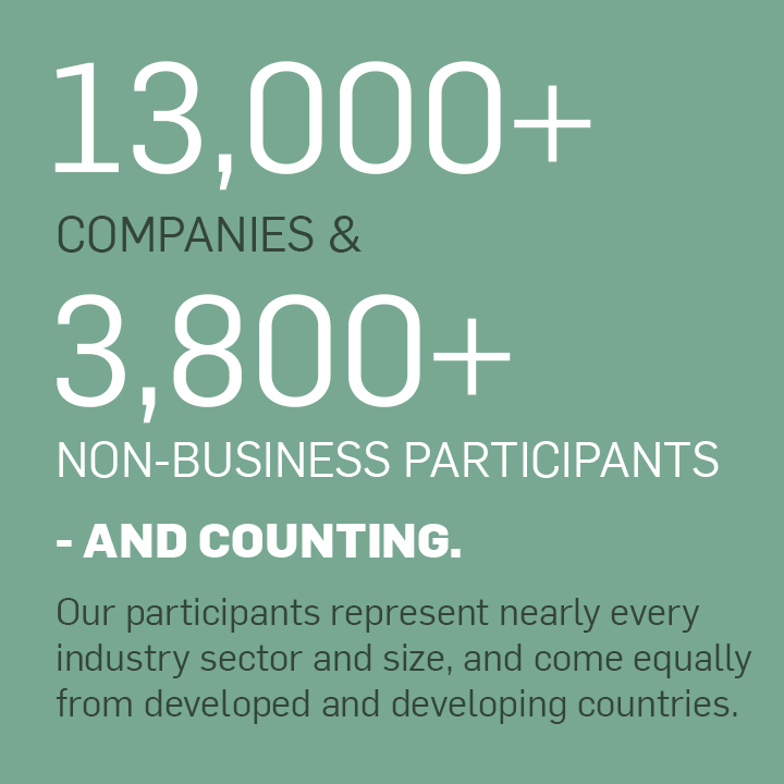Our 13,000+ companies and 3,800+ non-business participants – and counting – represent nearly every industry sector and size, and come equally from developed and developing countries.