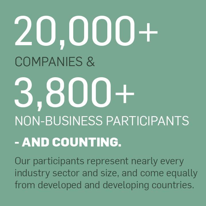 Our 18,000 companies and 3,800+ non-business participants – and counting – represent nearly every industry sector and size, and come equally from developed and developing countries.